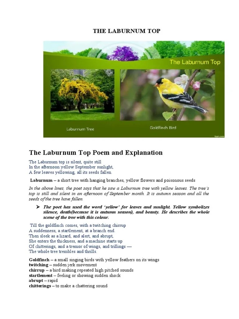 The Laburnum Top Poem Explained PDF Poetry