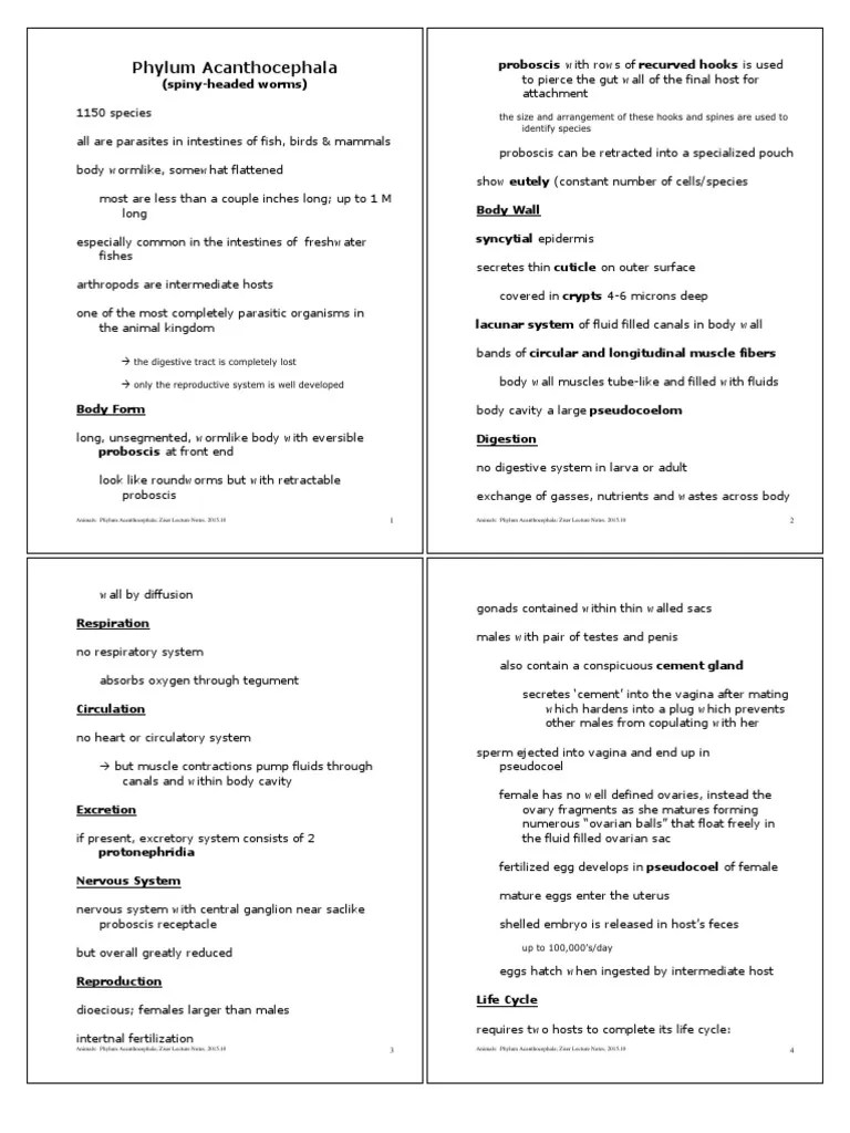 Phylum Acanthocephala The Size and Arrangement of These Hooks and