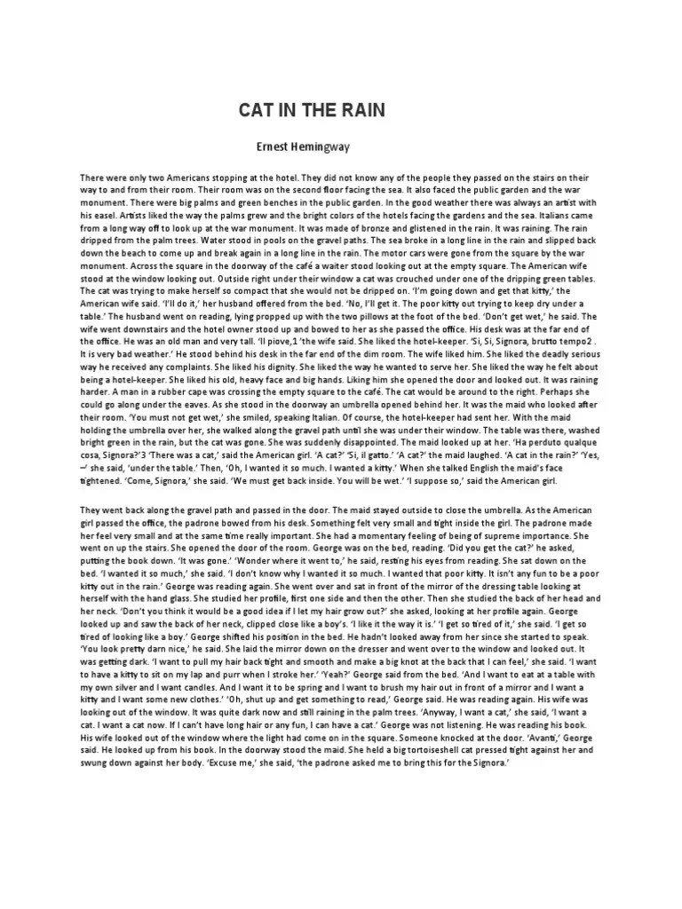 Cat in The Rain Ernest Hemingway PDF Poverty Poverty & Homelessness