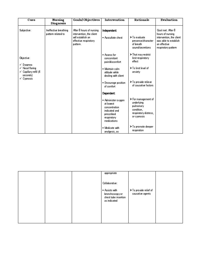 NCP Ineffective Breathing Pattern PDF