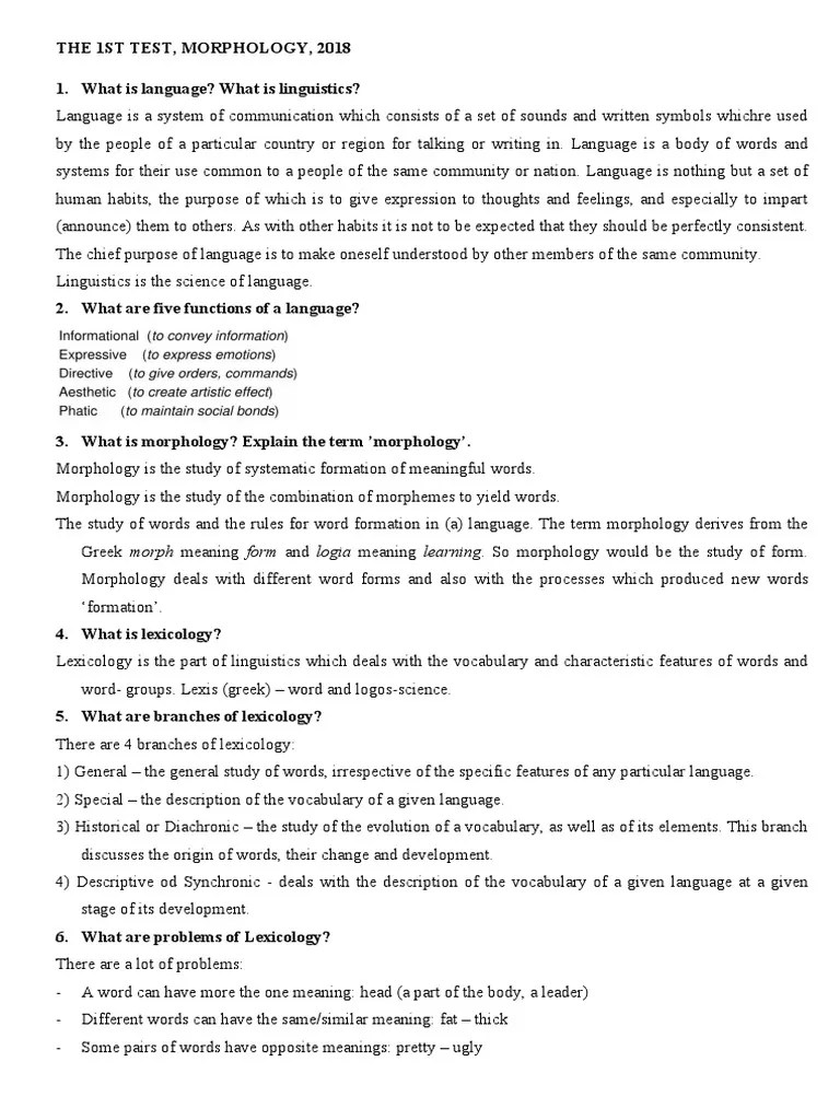 Morphology Test (Lexicology), With Answers, 2021 | PDF | Word