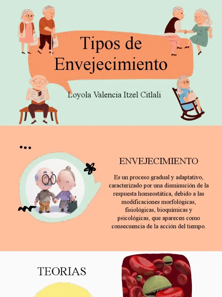 Tipos de Envejecimiento PDF Envejecimiento Sistema inmune