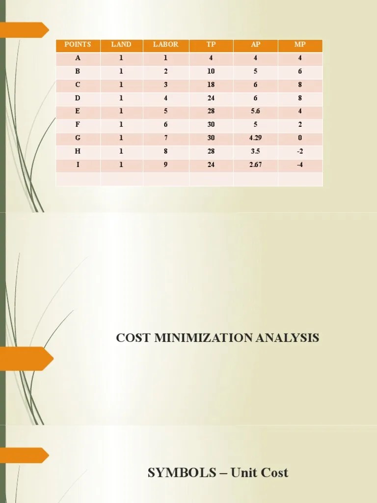 Cost Minimization Analysis PDF