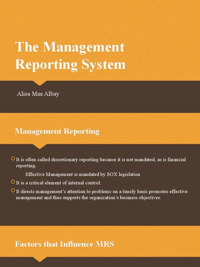 The Management Reporting System PDF Hierarchy Strategic Planning