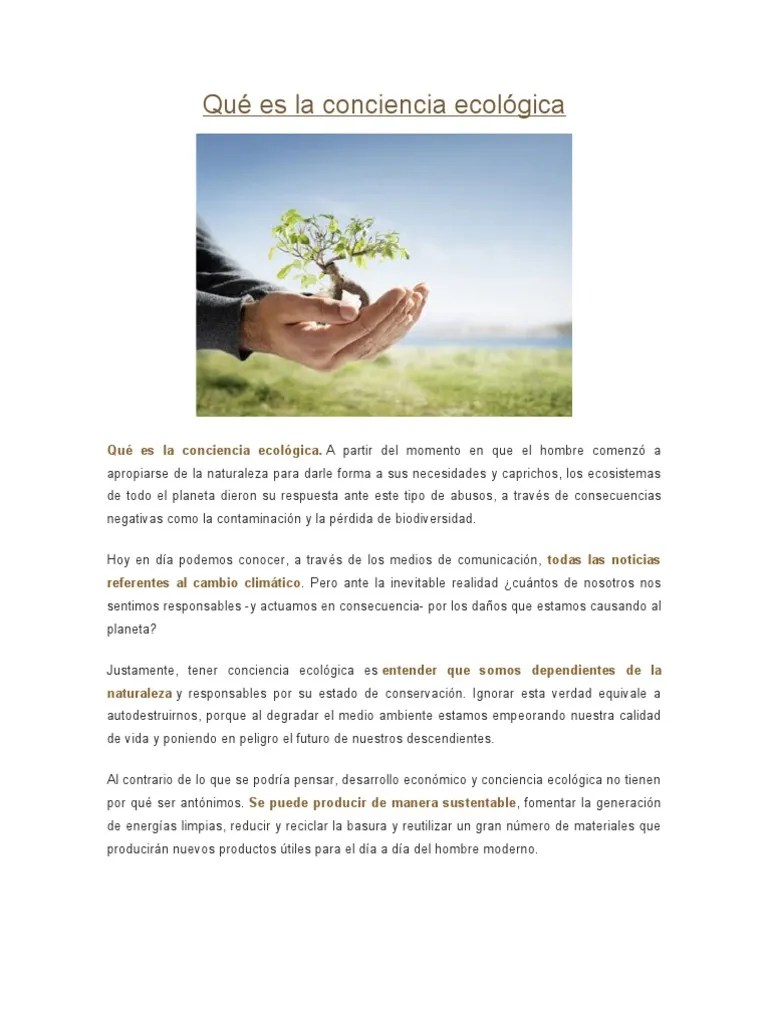 Qué es la conciencia ecológica