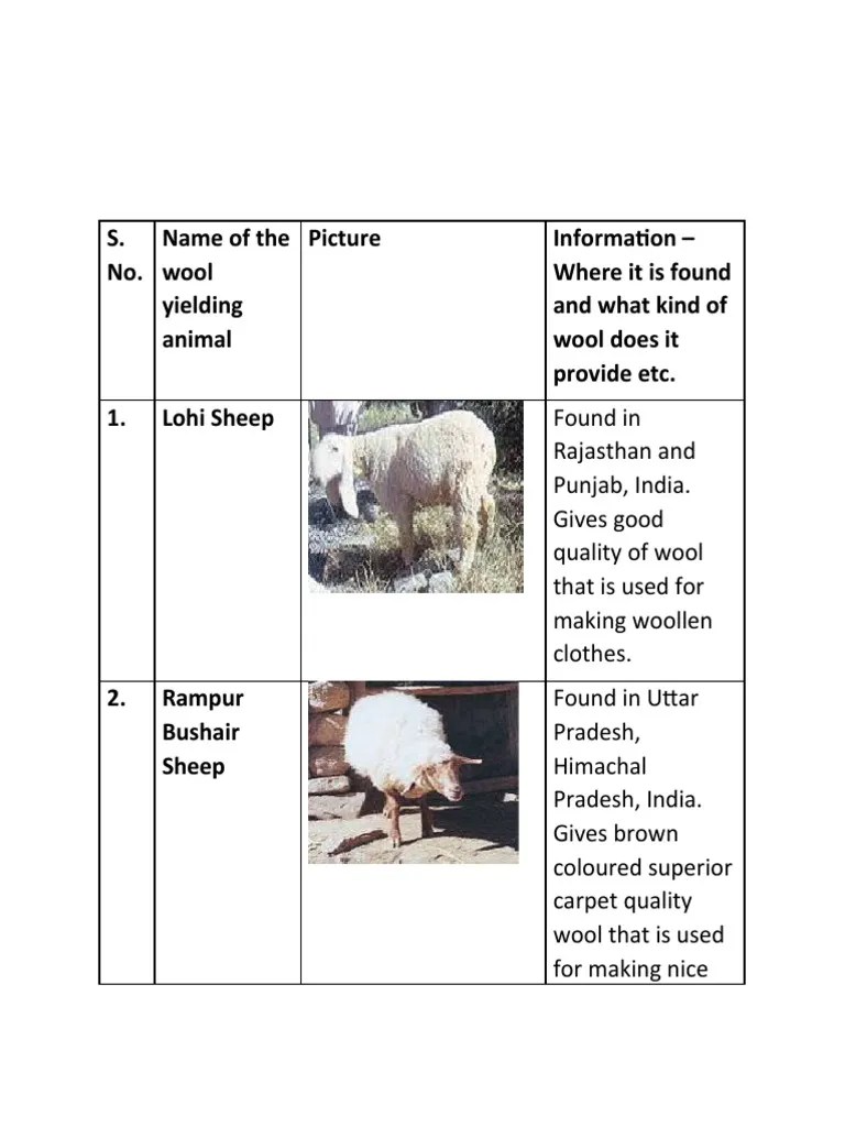 S. No. Name of The Wool Yielding Animal Picture Information Where It
