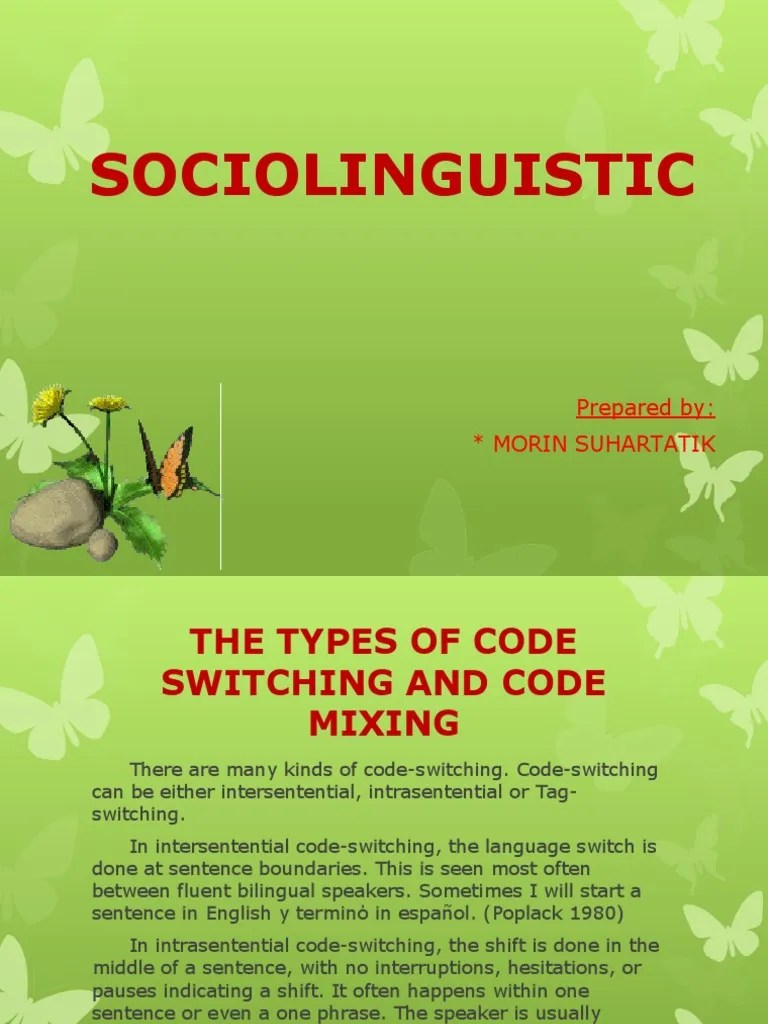 Type of Code Switching and Code Mixing PDF Grammar Syntax