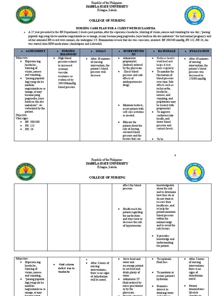 Preeclampsia Nursing Care Plan | PDF | Pain | Dehydration