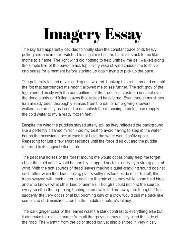 Imagery Essay PDF