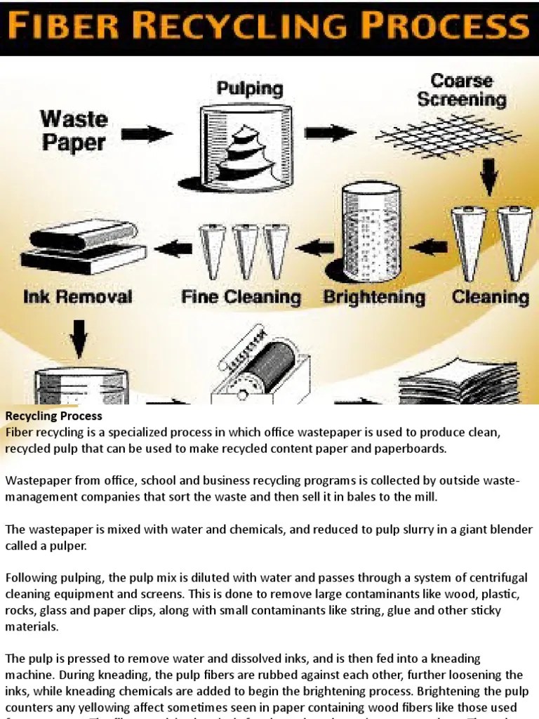 Paper Recycling Process PDF Recycling Waste Management