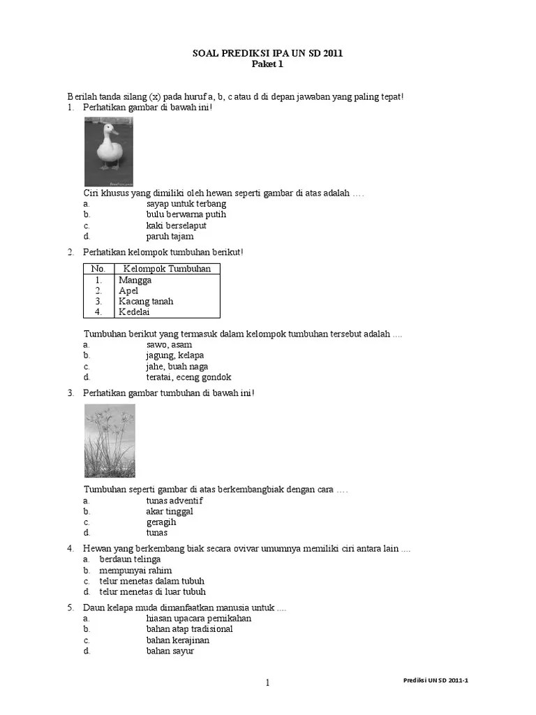Soal Prediksi Un SD Ipa 2011-1 | PDF