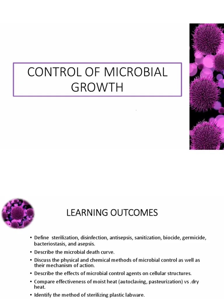 Control of Microbial Growth PDF Sterilization (Microbiology