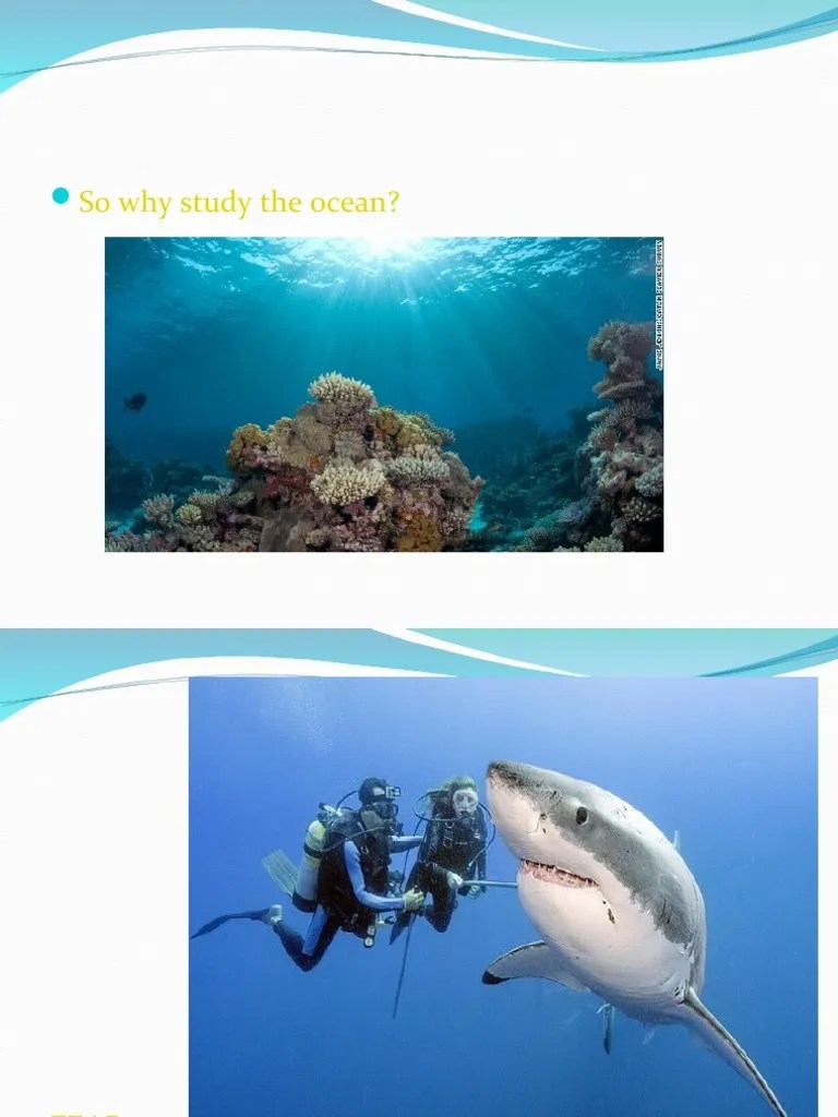 What Is Marine Science Notes 91217 PDF