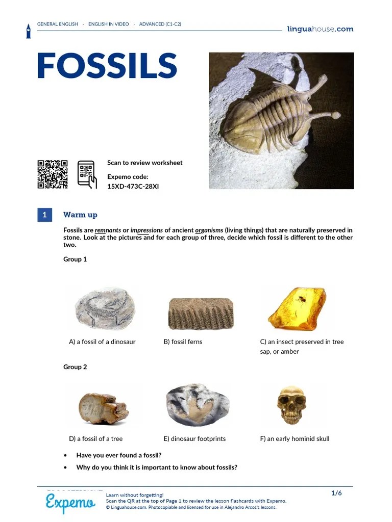 Fossils British English Student PDF Fossil Verb