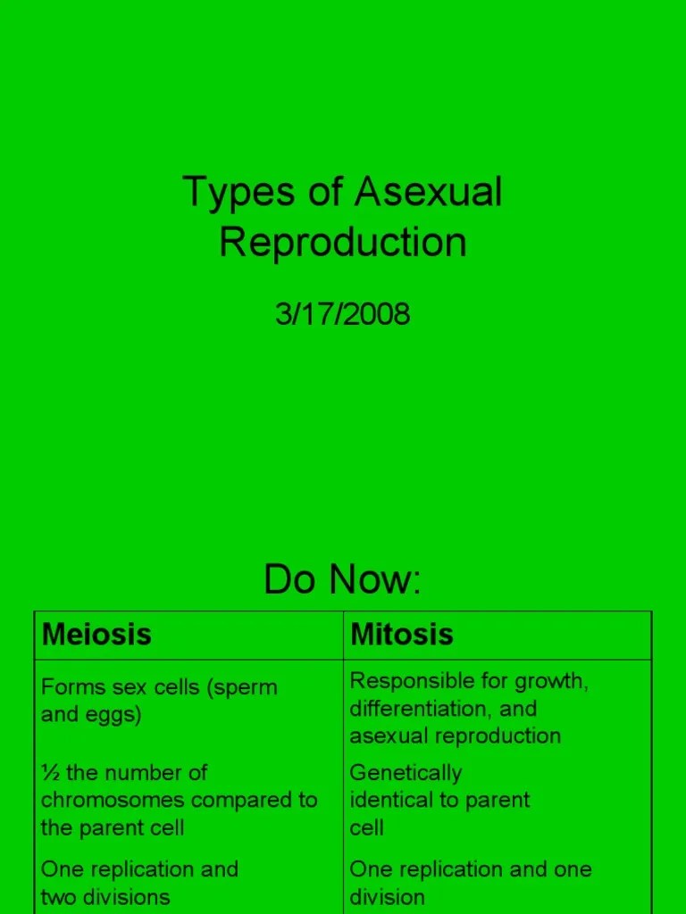 Types of Asexual Reproduction PDF Reproduction Cell (Biology)