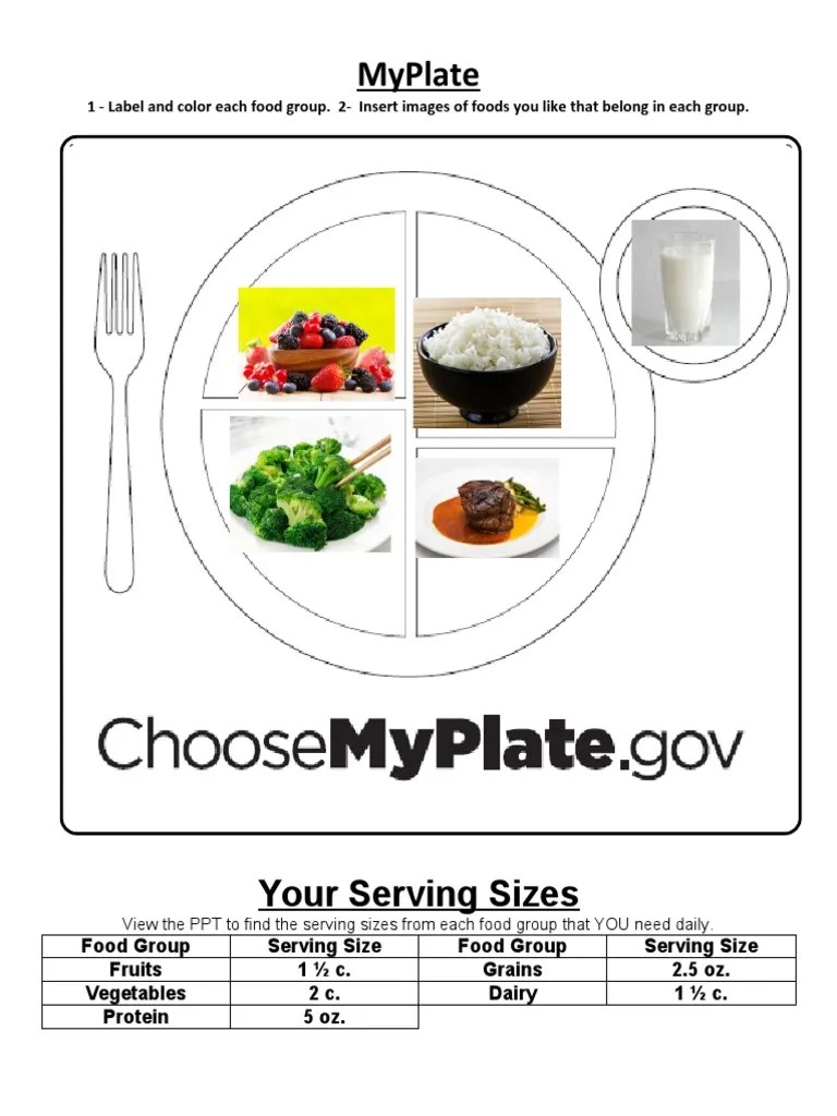 Myplate 1 Label and Color Each Food Group. 2Insert Images of Foods You Like That Belong in