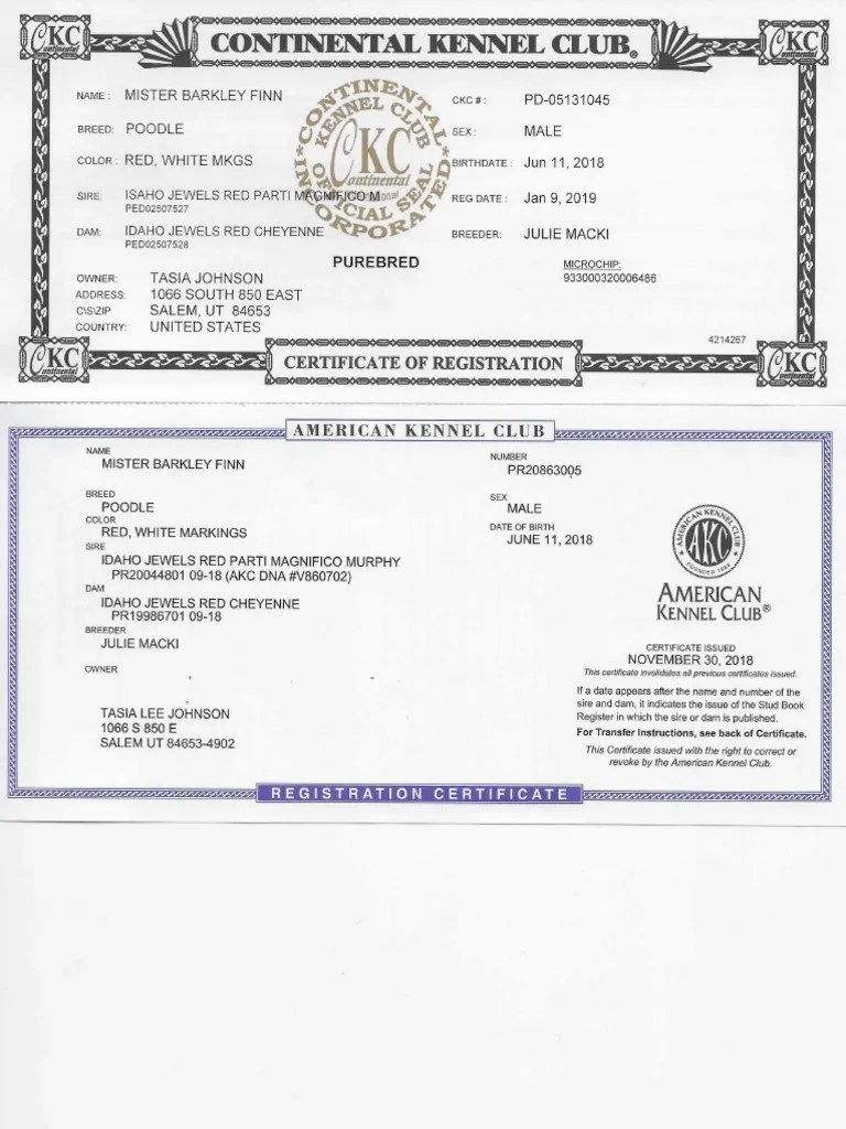 Akc and CKC Registration CertificatesMerged PDF Poodle Alanine