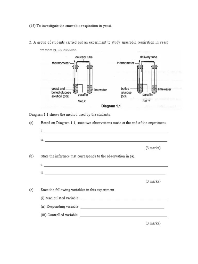 Anaerobic Respiration Experiment Scientific Method