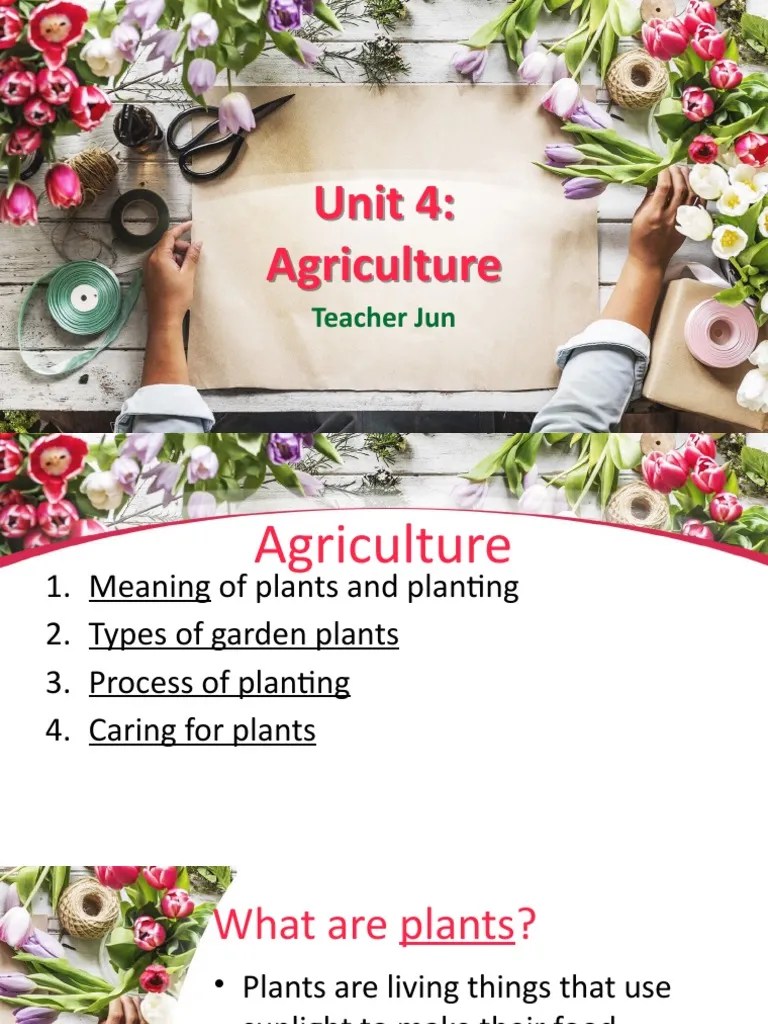 The Process of Growing Plants in Soil A StepbyStep Guide PDF