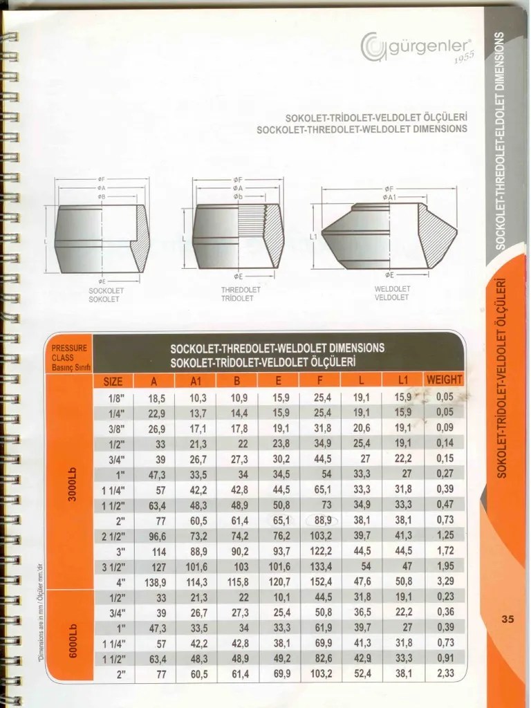 Sockolet Weldolet Thredolet PDF