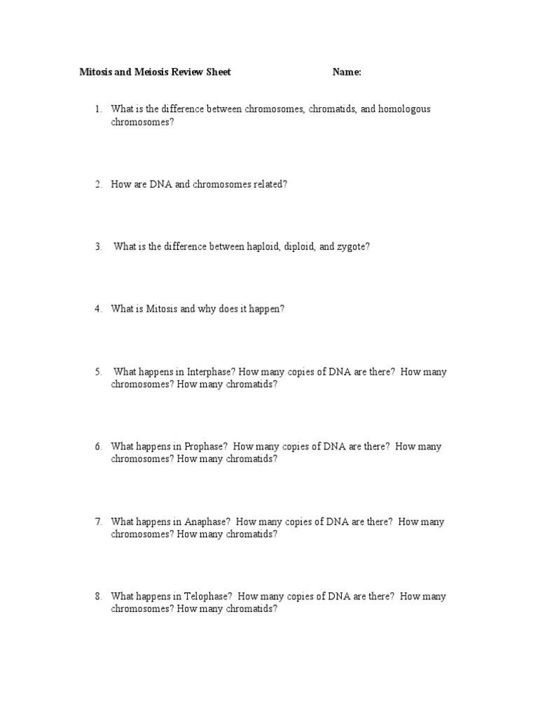 Mitosis and Meiosis Review Sheet | PDF