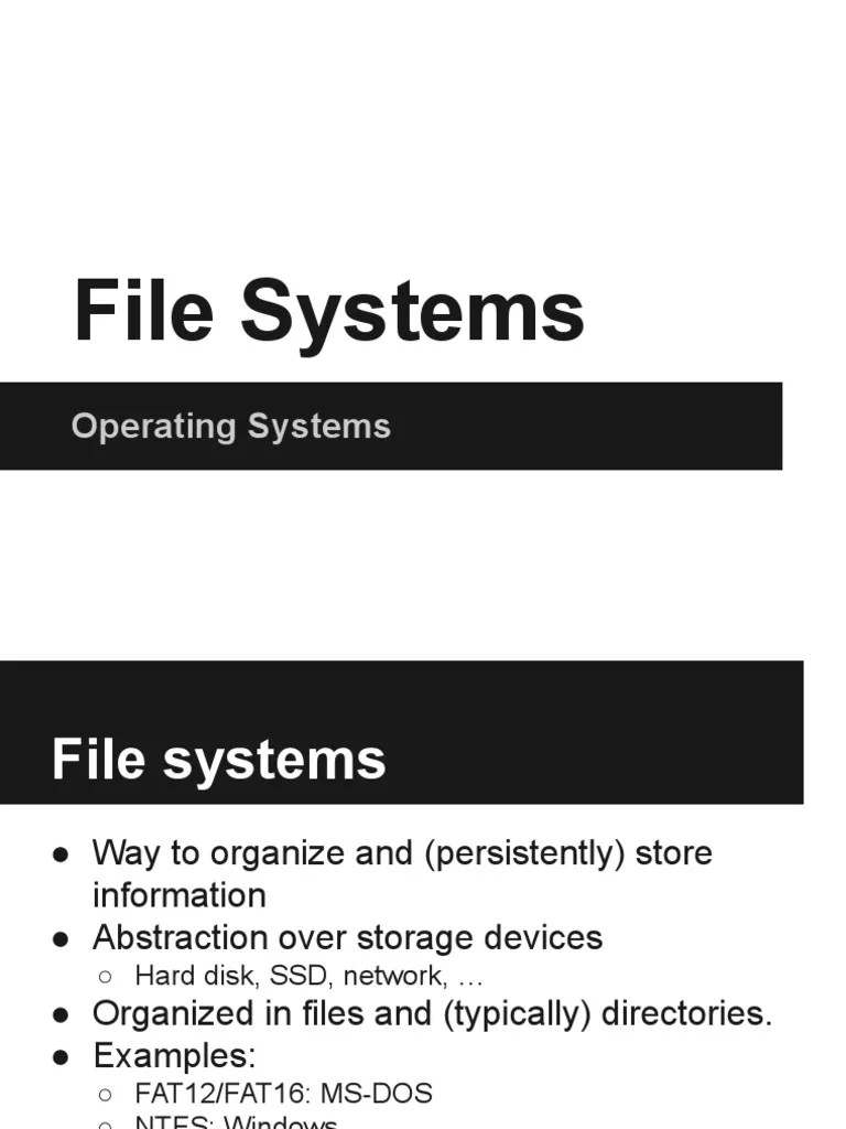 File Systems PDF File System Computer File