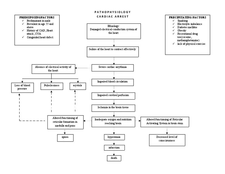 Pathophysiology Cardiac Arrest PDF Cardiac Arrest Heart