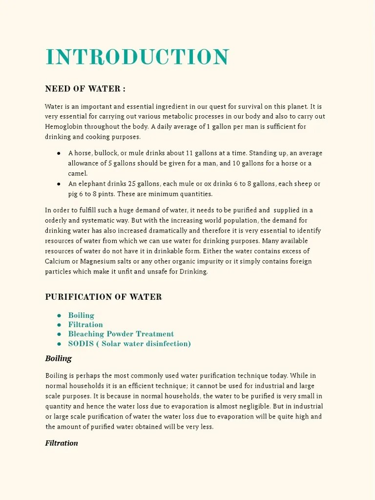 Essay PDF Water Purification Bleach