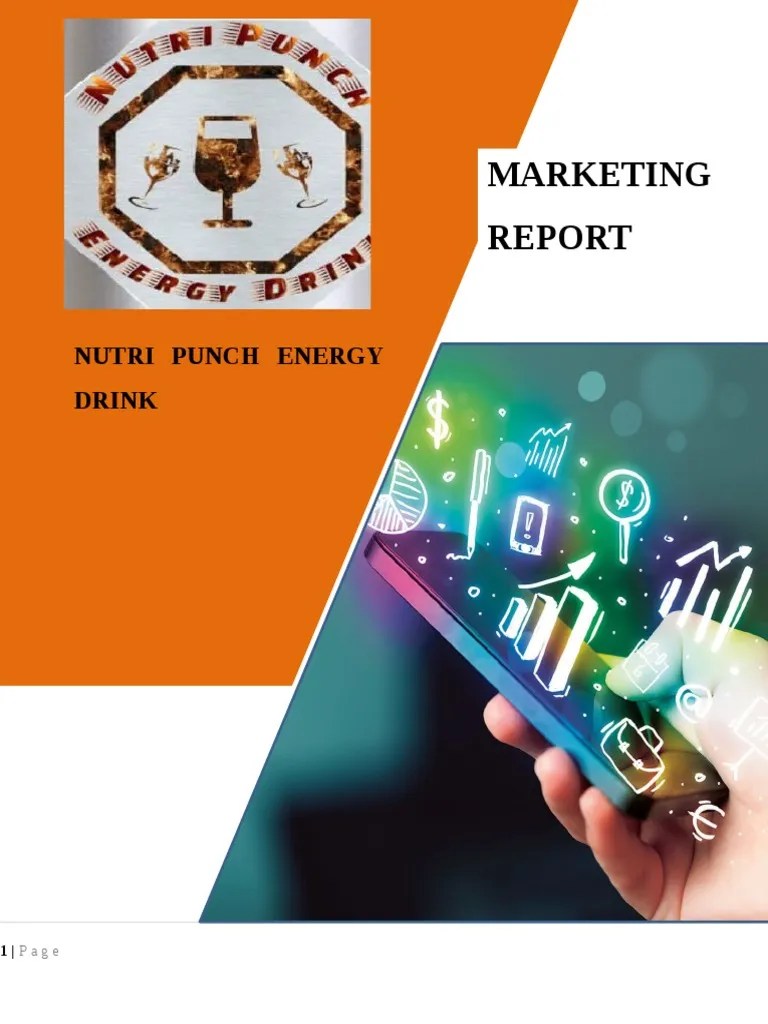 NUTRI PUNCH ENERGY Drink PDF Marketing Market Segmentation