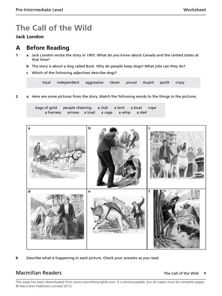 The Call of The Wild Worksheet PDF The Call Of The Wild