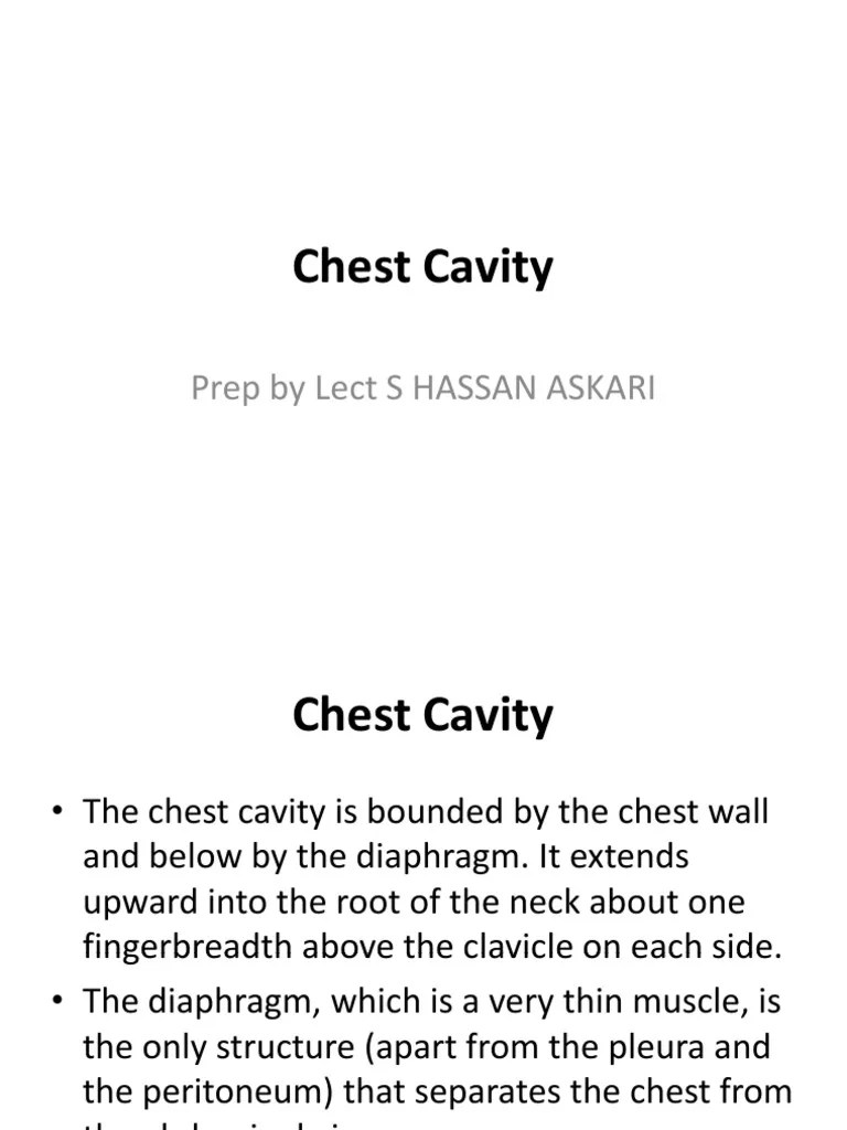 Chest Cavity. PDF Thorax Neck