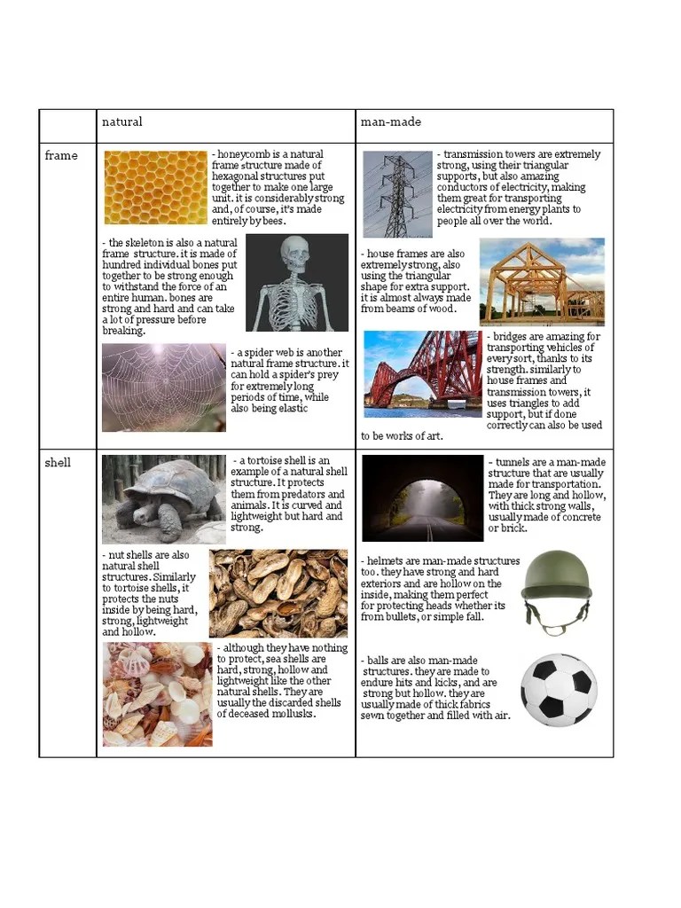 Natural & ManMade Frame/shell Structures PDF Skeleton