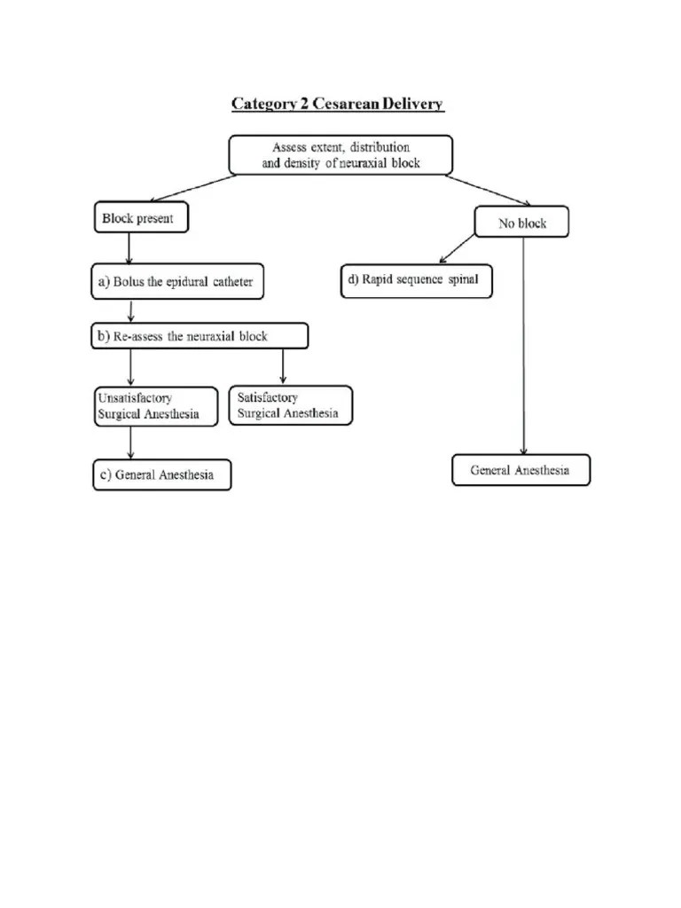 Cesarean Delivery PDF