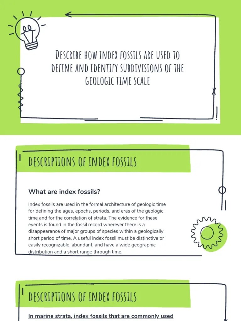 Describe How Index Fossils Are Used To Define and Identify Subdivisions