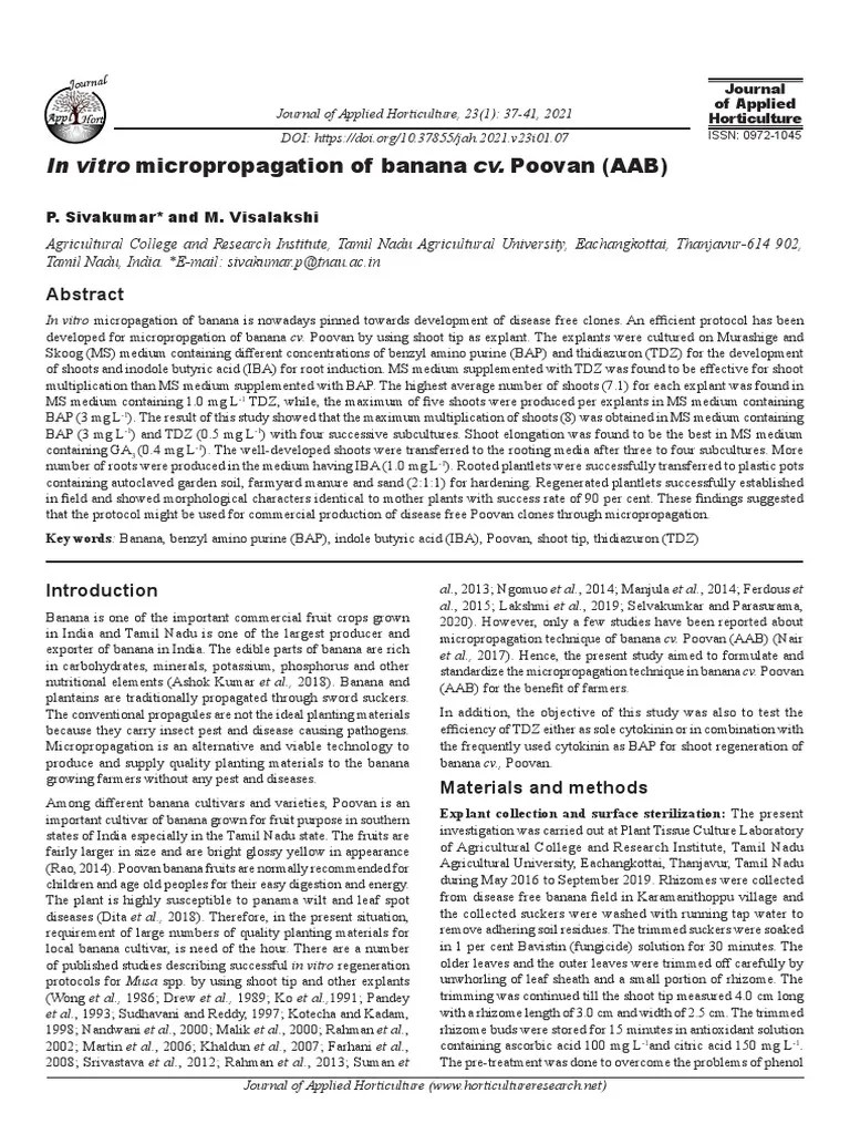 In Vitro Micropropagation of Banana Cv. Poovan (AAB) P. Sivakumar and