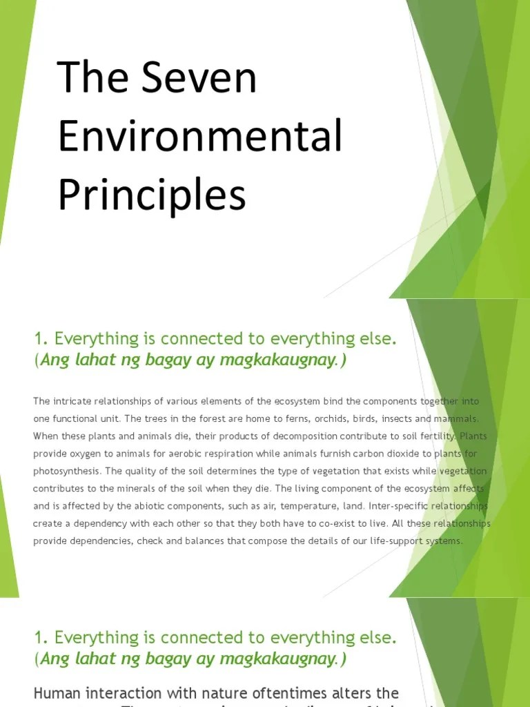 7 Environmental Principles PDF Biodiversity Sustainability
