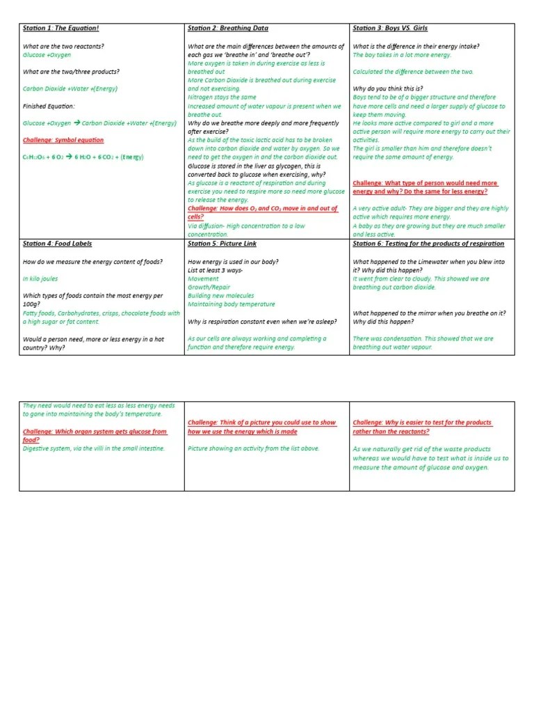 Worksheet For Respiration Hard Answers PDF Cellular Respiration Glucose