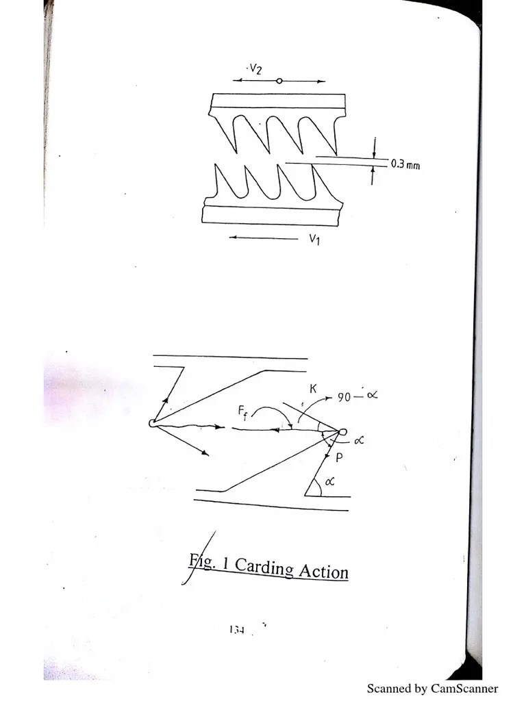 Carding and Stripping Actions PDF
