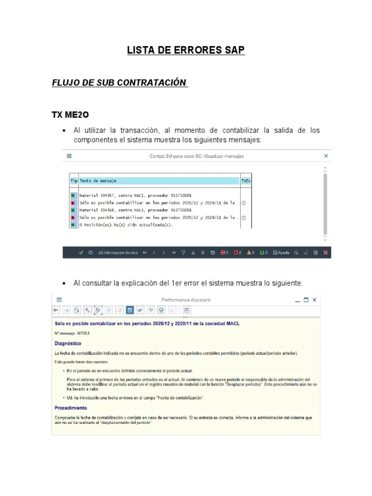 Errores SAP PDF Informática