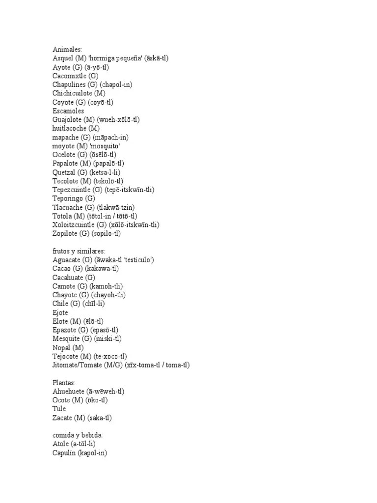 Palabras Indigenas Que Utilizamos Actualmente en Mexico