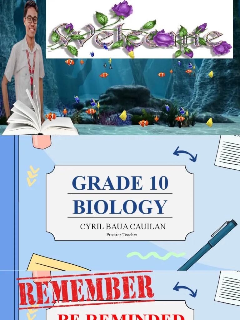 Feedback Mechanism Menstruation Cycle PDF