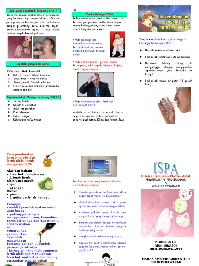 Leaflet Ispa PDF