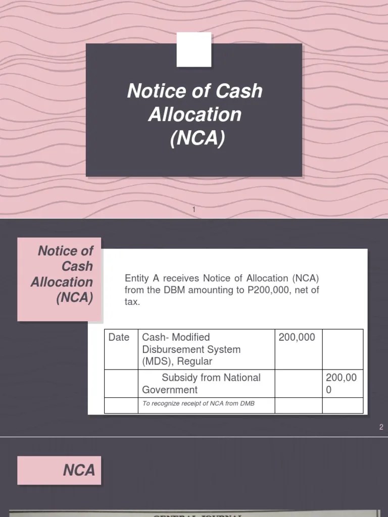 Notice of Cash Allocation PDF PDF Expense Budget