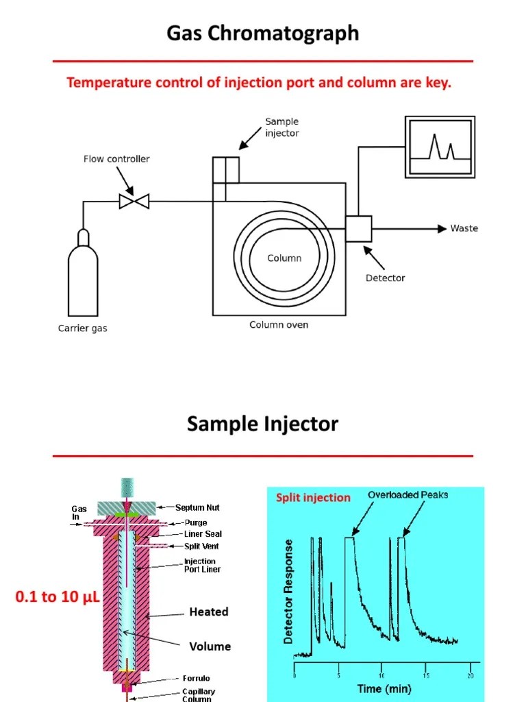 Chapter 26 Gas Chromatography2a PDF Chromatography