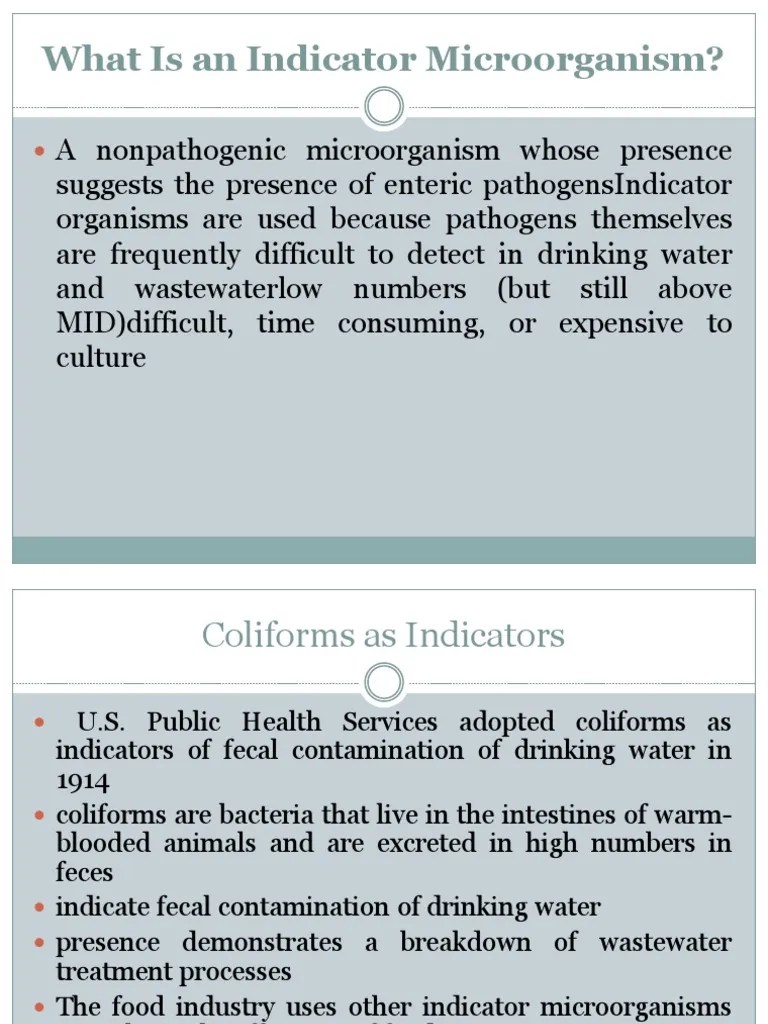 Indicator Organisms PDF Bacteria Microbiology
