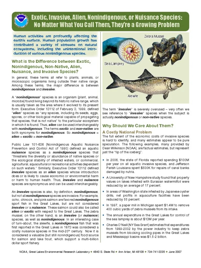 Exotic, Invasive, Alien, Nonindigenous, or Nuisance Species No Matter