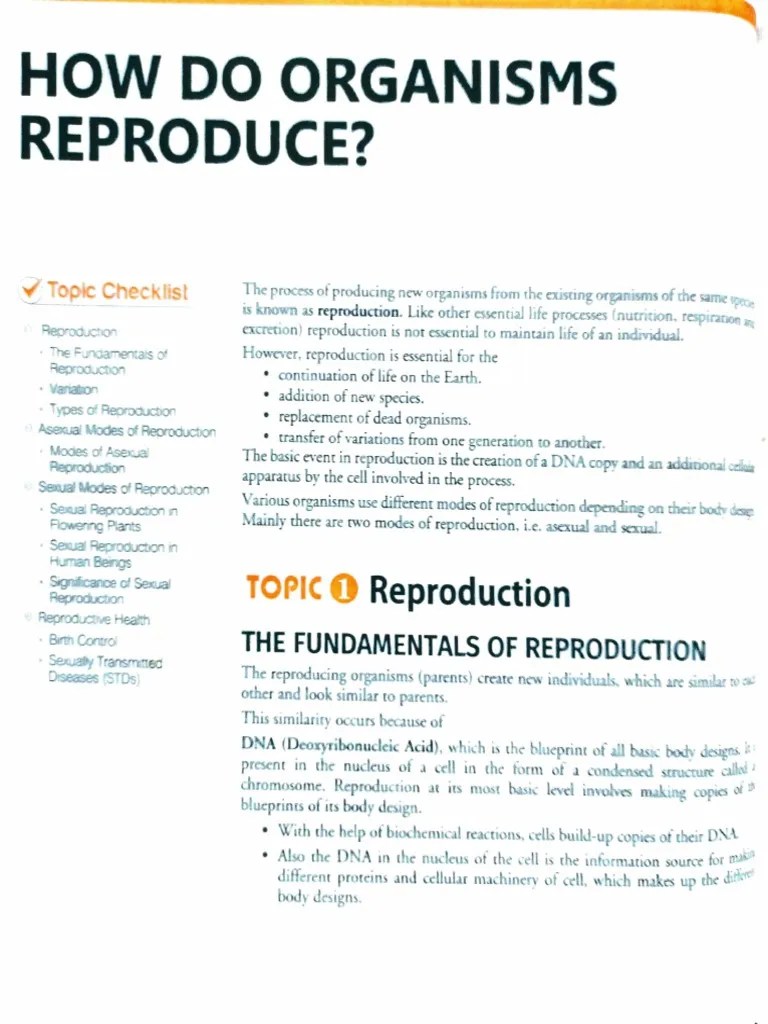 How Do Organisms Reproduce PDF Flowers Pollination