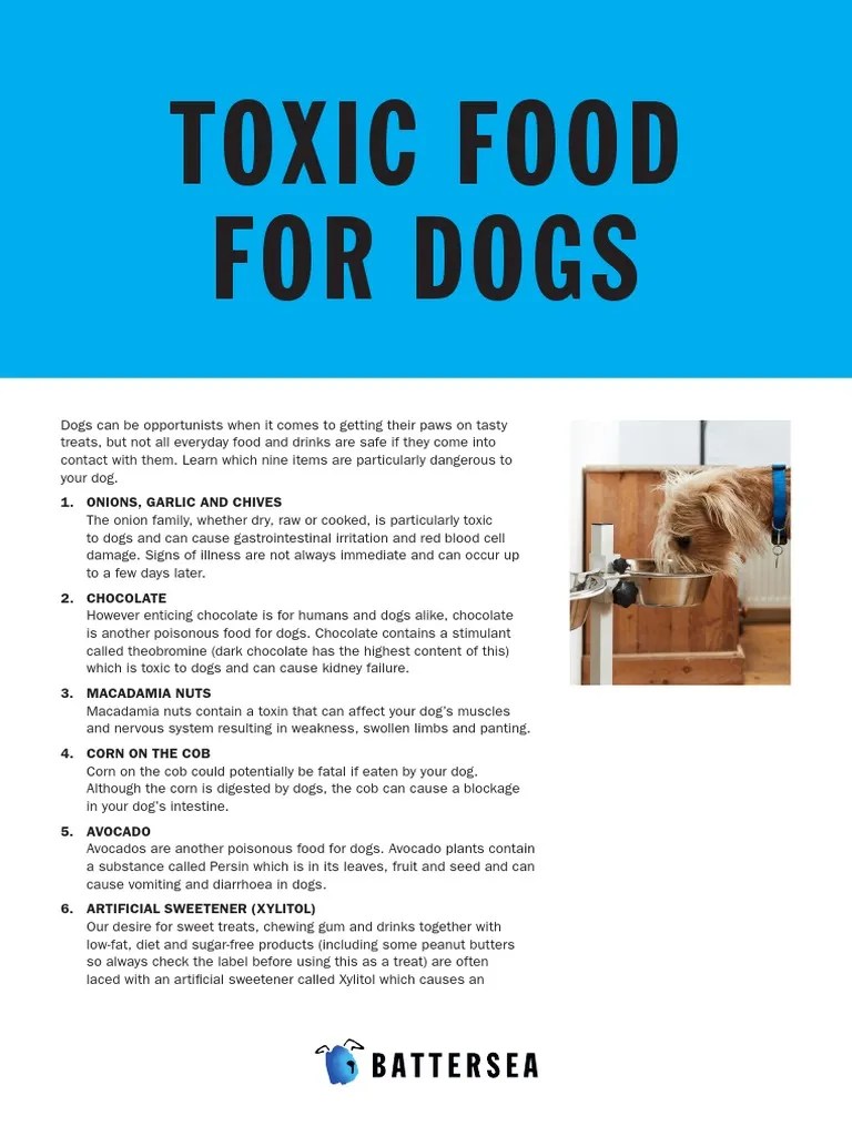 BATTERSEA Toxic Food For Dogs PDF Foods Sugar Substitute