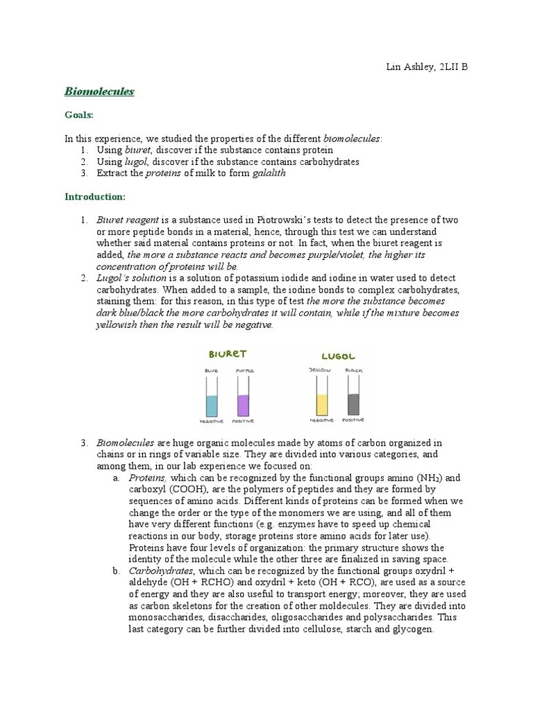 Biomolecules Lab Report PDF Biomolecules Milk