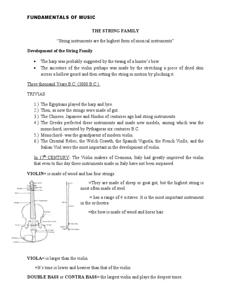 The String Family PDF String Instruments